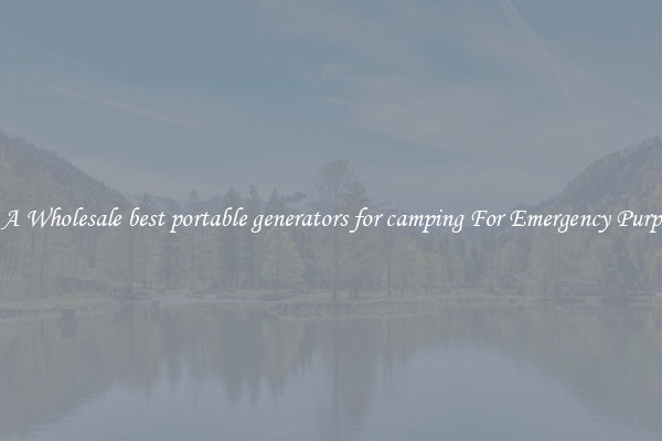 Get A Wholesale best portable generators for camping For Emergency Purposes