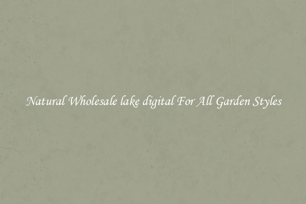 Natural Wholesale lake digital For All Garden Styles