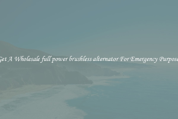 Get A Wholesale full power brushless alternator For Emergency Purposes