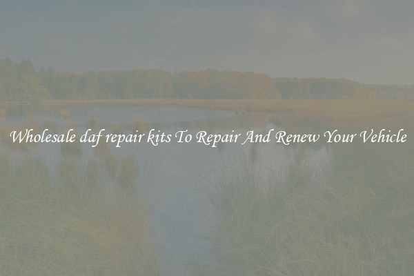 Wholesale daf repair kits To Repair And Renew Your Vehicle