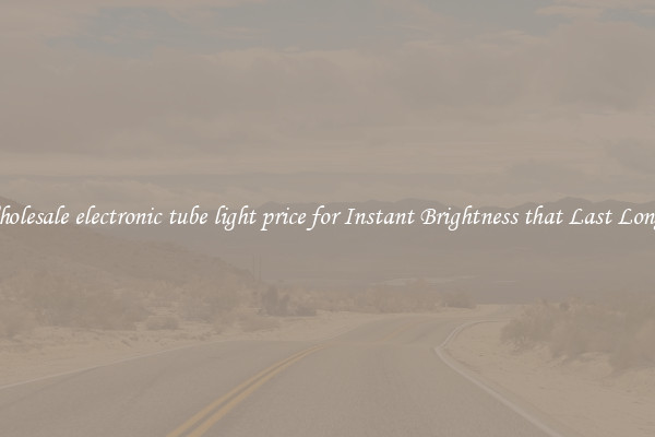 Wholesale electronic tube light price for Instant Brightness that Last Longer