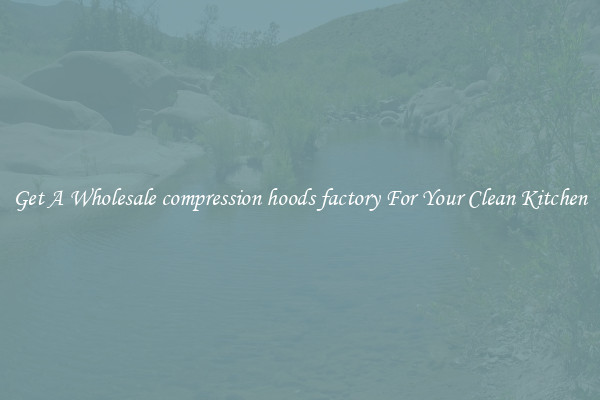 Get A Wholesale compression hoods factory For Your Clean Kitchen
