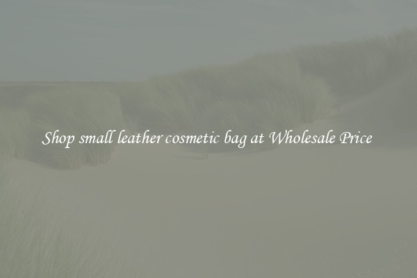 Shop small leather cosmetic bag at Wholesale Price 