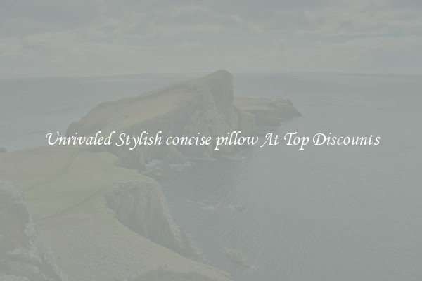 Unrivaled Stylish concise pillow At Top Discounts