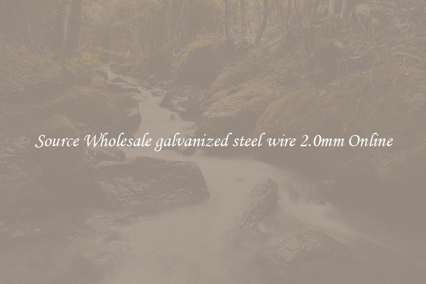Source Wholesale galvanized steel wire 2.0mm Online