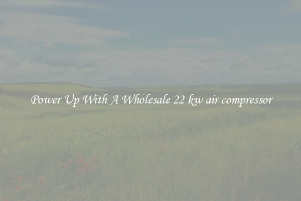 Power Up With A Wholesale 22 kw air compressor