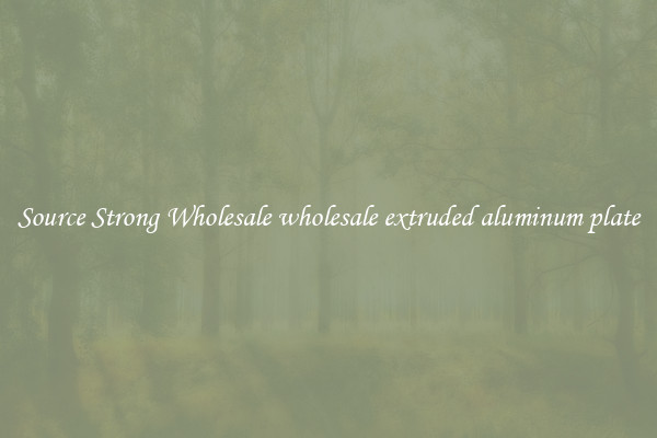 Source Strong Wholesale wholesale extruded aluminum plate