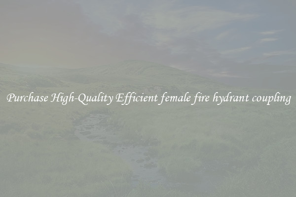 Purchase High-Quality Efficient female fire hydrant coupling