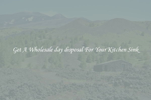 Get A Wholesale day disposal For Your Kitchen Sink