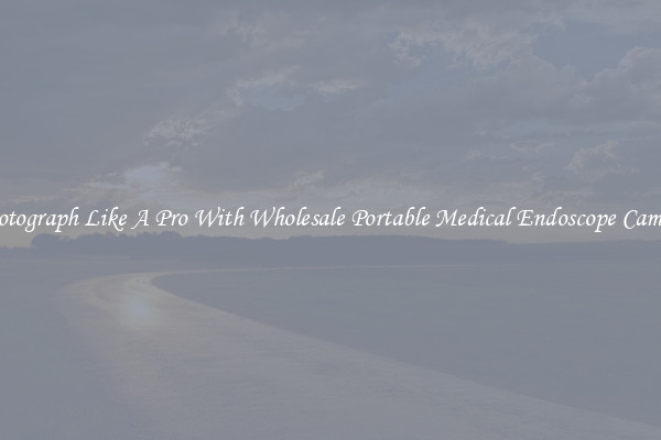 Photograph Like A Pro With Wholesale Portable Medical Endoscope Camera