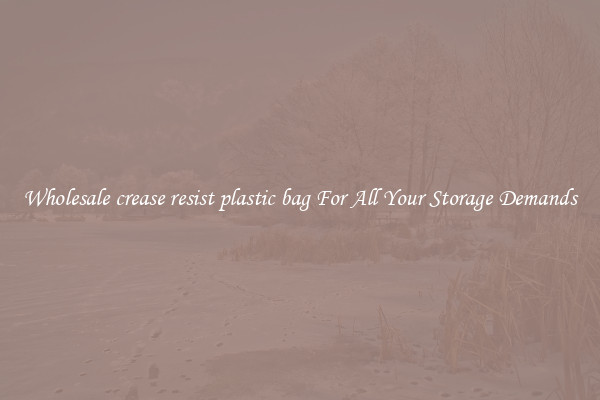 Wholesale crease resist plastic bag For All Your Storage Demands