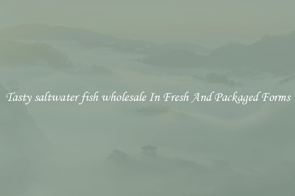 Tasty saltwater fish wholesale In Fresh And Packaged Forms