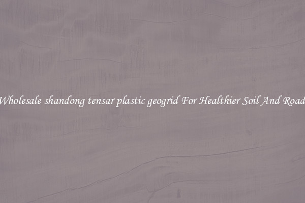 Wholesale shandong tensar plastic geogrid For Healthier Soil And Roads