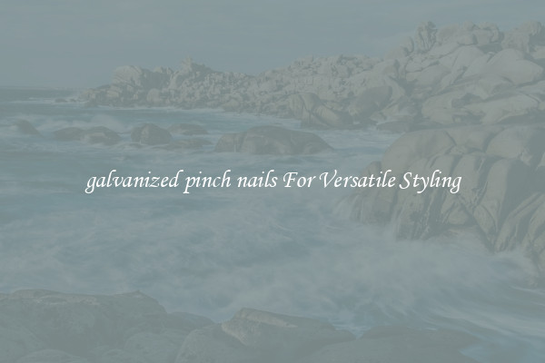 galvanized pinch nails For Versatile Styling