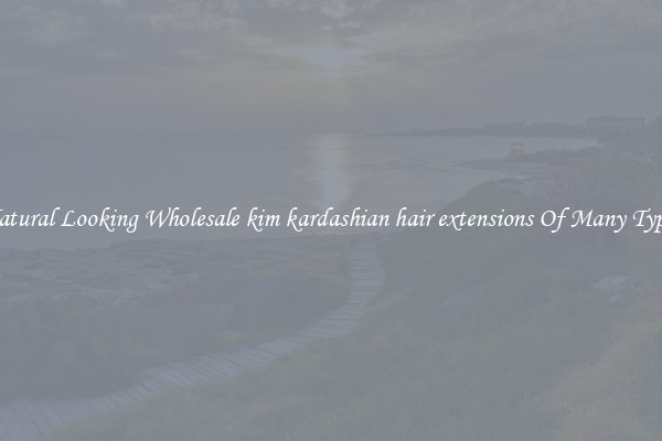 Natural Looking Wholesale kim kardashian hair extensions Of Many Types