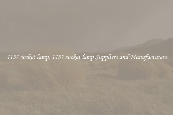 1157 socket lamp, 1157 socket lamp Suppliers and Manufacturers